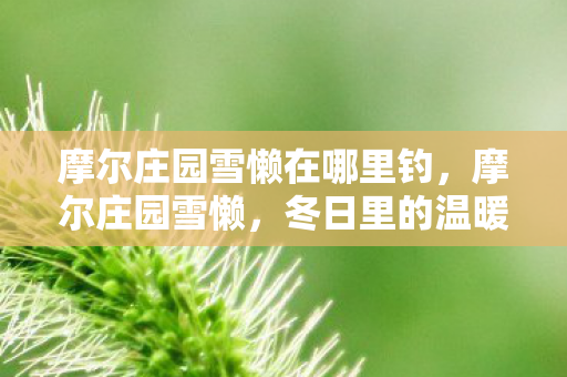 摩尔庄园雪懒在哪里钓图片