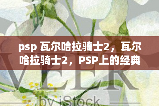 psp 瓦尔哈拉骑士2图片