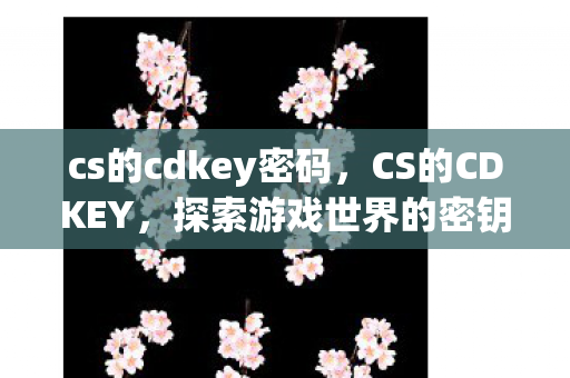 cs的cdkey密码，CS的CDKEY，探索游戏世界的密钥