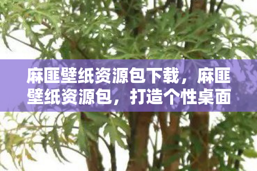 麻匪壁纸资源包下载图片