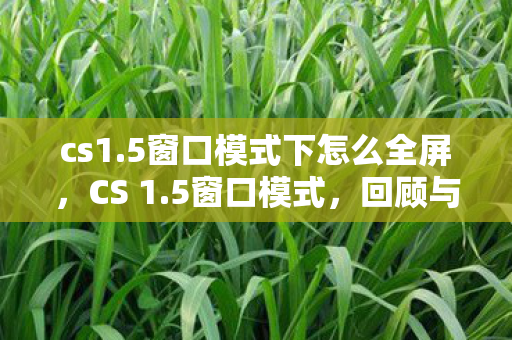 cs1.5窗口模式下怎么全屏，CS 1.5窗口模式，回顾与解析