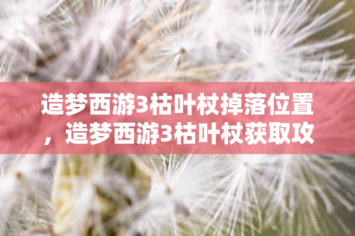 造梦西游3枯叶杖掉落位置图片