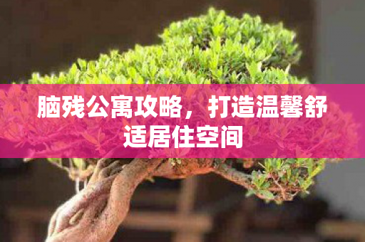 脑残公寓攻略，打造温馨舒适居住空间