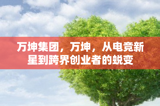 从电竞新星到跨界创业者的蜕变图片