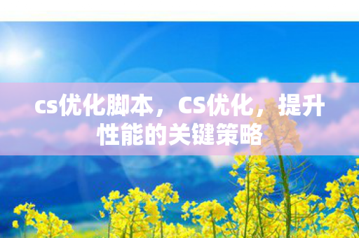 cs优化脚本，CS优化，提升性能的关键策略