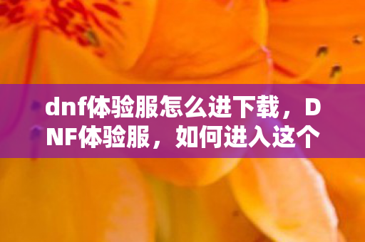 如何进入这个神秘的游戏世界图片