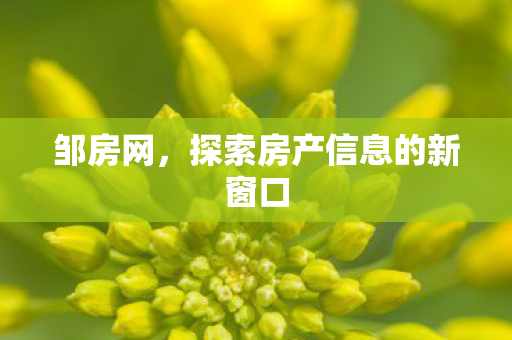 探索房产信息的新窗口图片