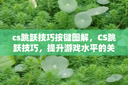 cs跳跃技巧按键图解，CS跳跃技巧，提升游戏水平的关键要素
