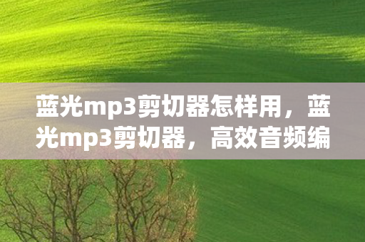 蓝光mp3剪切器怎样用图片