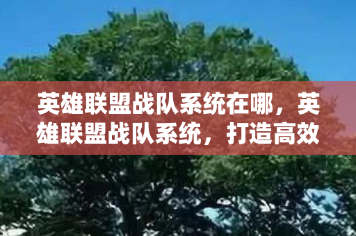 英雄联盟战队系统在哪图片