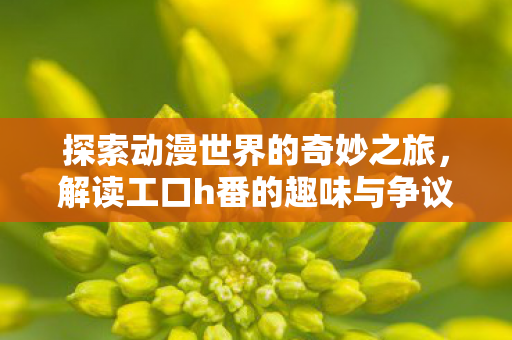 解读工口h番的趣味与争议图片