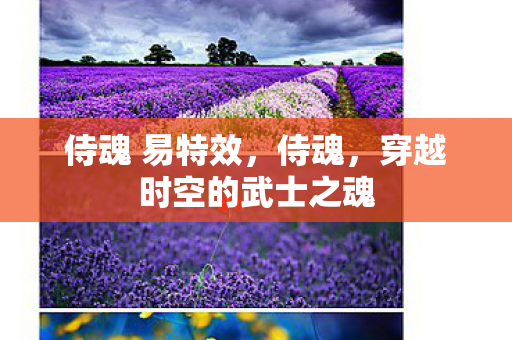 侍魂 易特效，侍魂，穿越时空的武士之魂