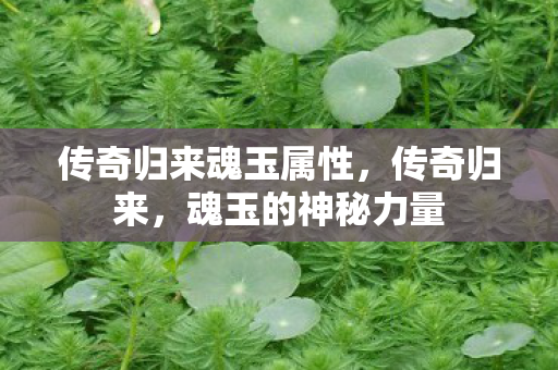 传奇归来魂玉属性图片