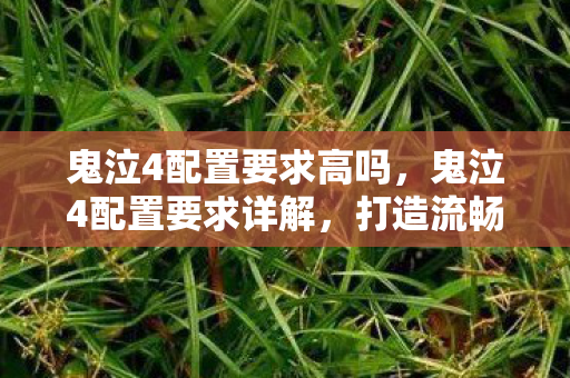 鬼泣4配置要求高吗图片