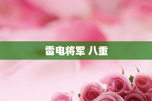 雷电将军 八重图片