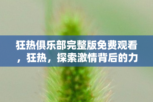 狂热俱乐部完整版免费观看图片