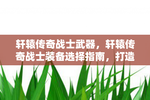 轩辕传奇战士装备选择指南图片