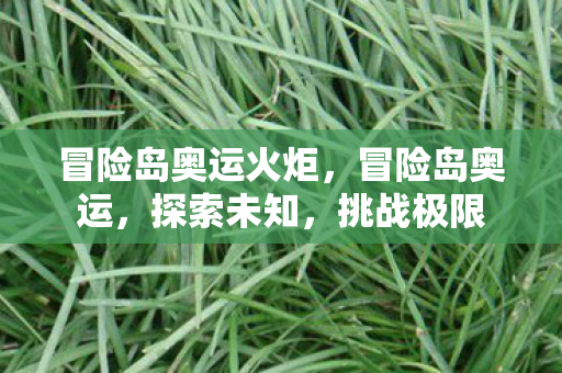 冒险岛奥运火炬图片