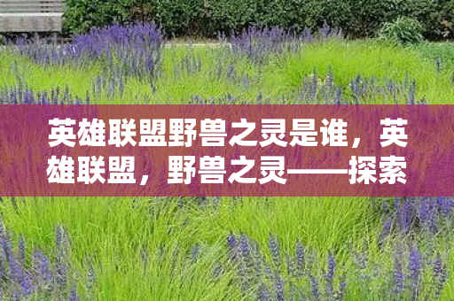 英雄联盟野兽之灵是谁，英雄联盟，野兽之灵——探索游戏中的自然之力