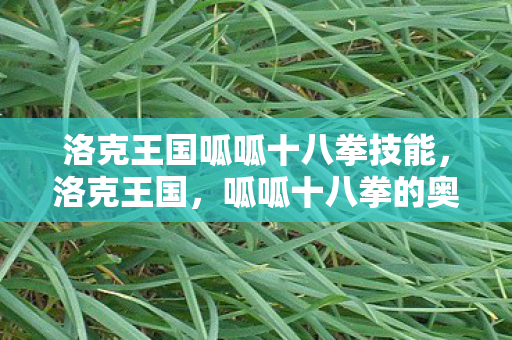 洛克王国呱呱十八拳技能，洛克王国，呱呱十八拳的奥秘