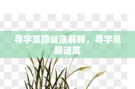 寻字觅踪谜底解释，寻字觅踪谜底