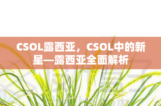 CSOL露西亚，CSOL中的新星—露西亚全面解析
