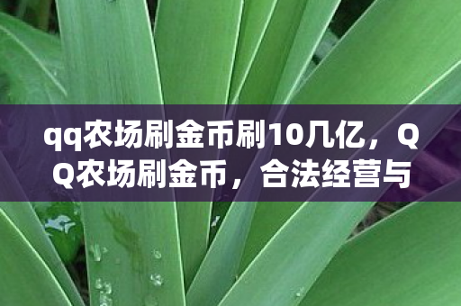 qq农场刷金币刷10几亿，QQ农场刷金币，合法经营与游戏乐趣的平衡