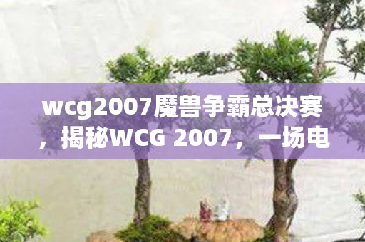 wcg2007魔兽争霸总决赛，揭秘WCG 2007，一场电竞盛宴的历史回顾与深度解析