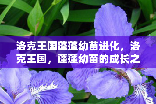 洛克王国蓬蓬幼苗进化图片