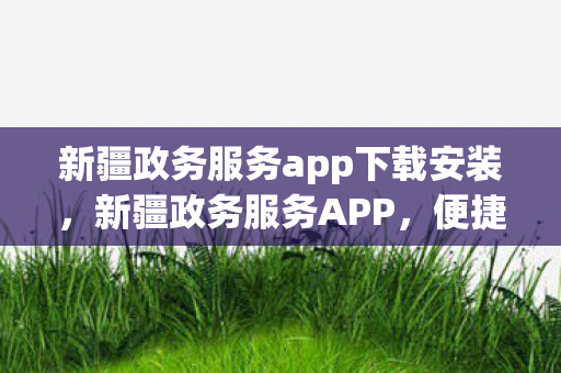 新疆政务服务app下载安装图片