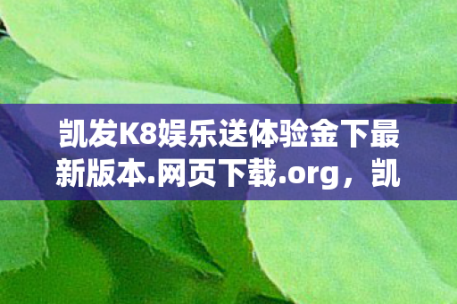 凯发K8娱乐送体验金下最新版本图片