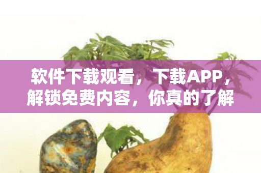 你真的了解背后的真相吗图片