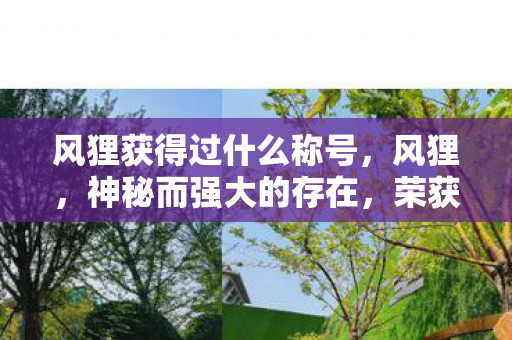 风狸获得过什么称号图片