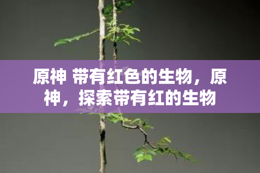 原神 带有红色的生物图片