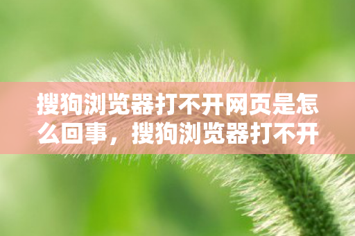 搜狗浏览器打不开网页是怎么回事图片