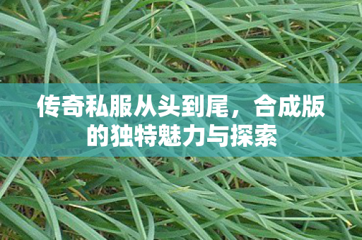 合成版的独特魅力与探索图片