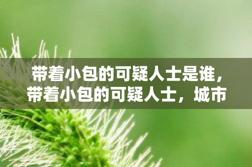 带着小包的可疑人士是谁图片