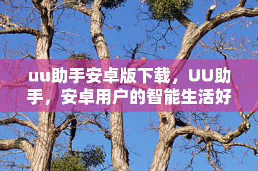 安卓用户的智能生活好帮手图片