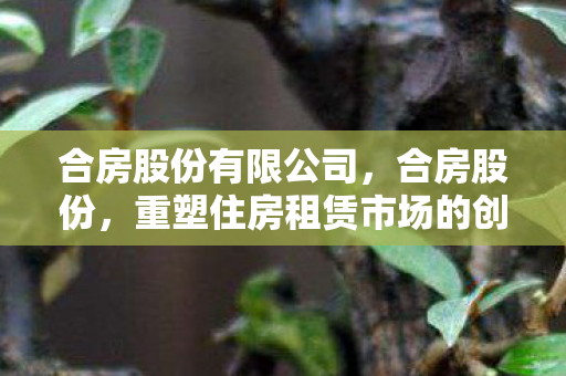 重塑住房租赁市场的创新力量图片