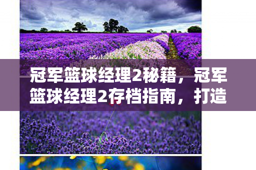 冠军篮球经理2存档指南图片