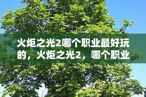 火炬之光2哪个职业最好玩的图片