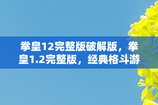 经典格斗游戏的传奇再现图片