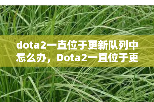 dota2一直位于更新队列中怎么办图片