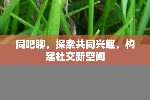 构建社交新空间图片