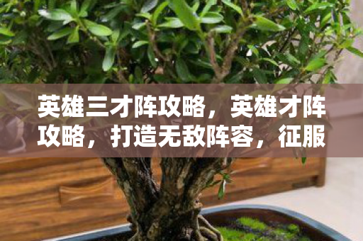 英雄三才阵攻略图片