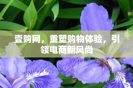 引领电商新风尚图片