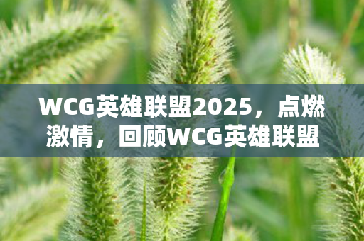 回顾WCG英雄联盟的辉煌时刻图片