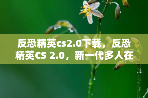 反恐精英cs2.0下载，反恐精英CS 2.0，新一代多人在线射击游戏巨头重磅来袭！