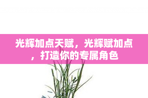 光辉加点天赋，光辉赋加点，打造你的专属角色