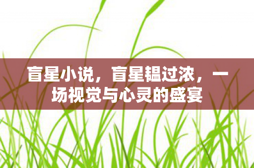 盲星小说，盲星韫过浓，一场视觉与心灵的盛宴